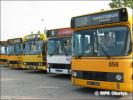 858, 857, 859 -  DAB 8-1200. 802 - Jelcz 120M